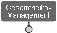 Multirisikomanagement