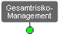 Multirisikomanagement