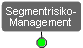 Programmmanagement