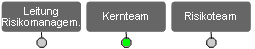 Organisation des Risikomanagements, Kernteam