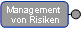 Verantwortliche für das Risikomanagement